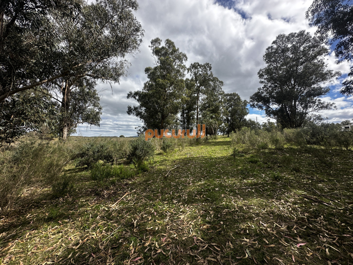 Zona Rural - GoPunta - Portal Inmobiliario de Punta del Este - Maldonado