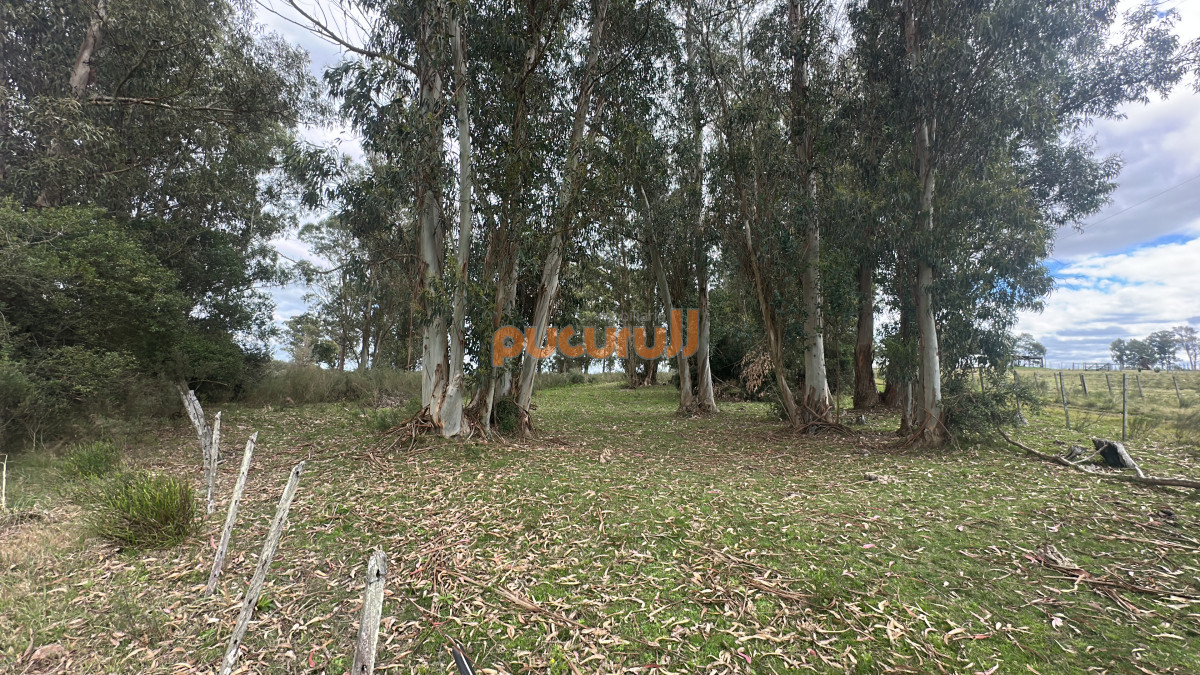 Zona Rural - GoPunta - Portal Inmobiliario de Punta del Este - Maldonado