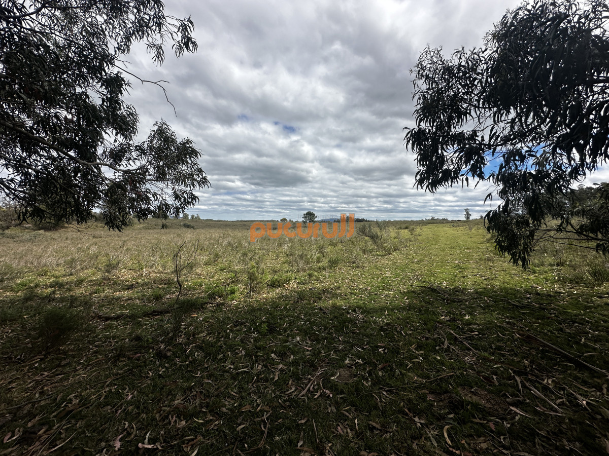 Zona Rural - GoPunta - Portal Inmobiliario de Punta del Este - Maldonado