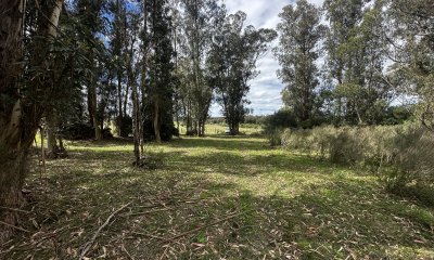 Venta chacra km 116 ruta 9. Cerca de Pan de azúcar