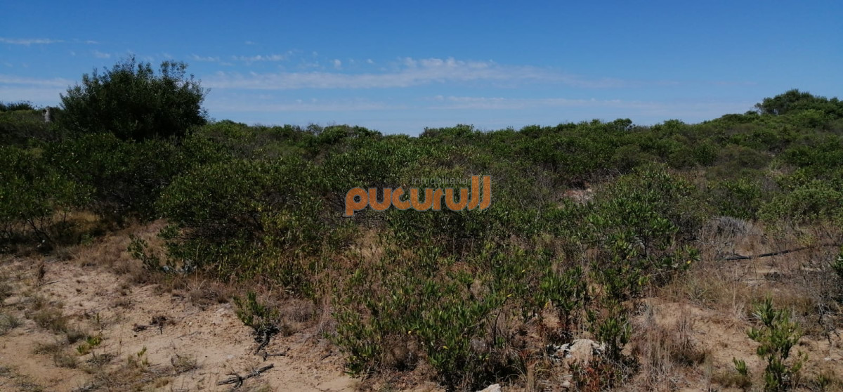 Terreno ID.2611 - Lote junto al mar