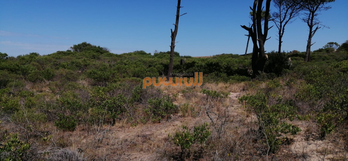 Terreno ID.2611 - Lote junto al mar