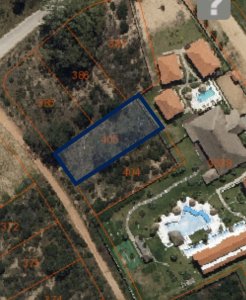 Chihuahua - GoPunta - Portal Inmobiliario de Punta del Este - Maldonado
