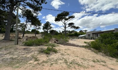 Lote en chihuahua