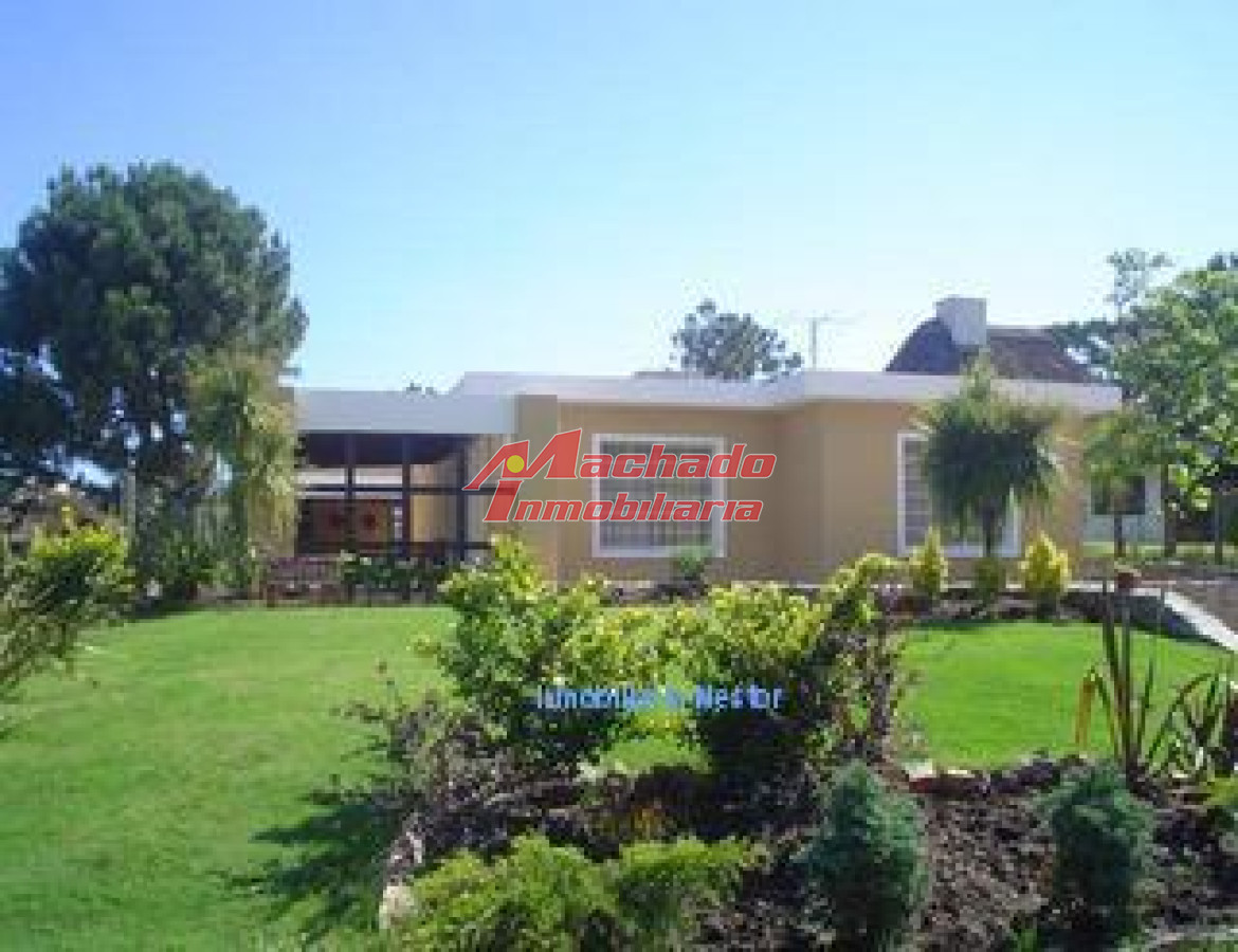Tio Tom - GoPunta - Portal Inmobiliario de Punta del Este - Maldonado