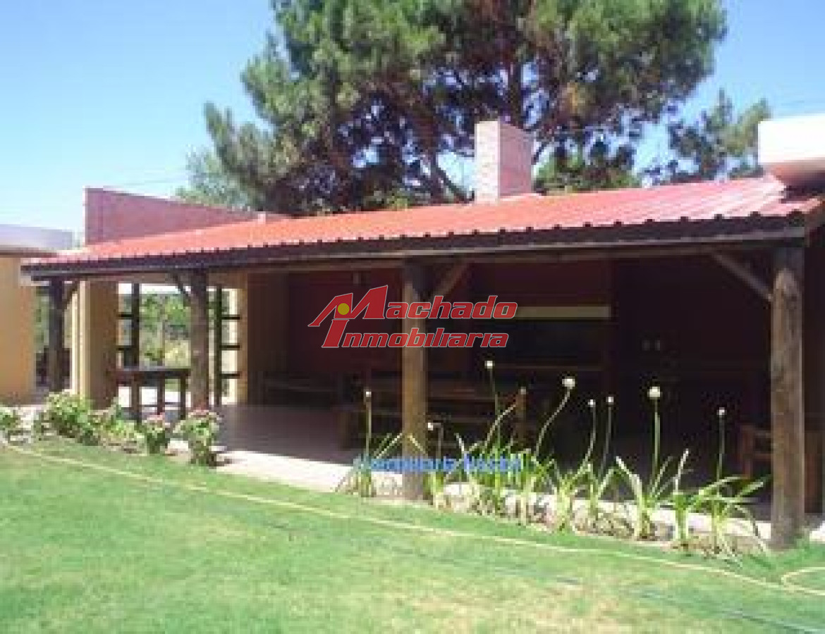 Tio Tom - GoPunta - Portal Inmobiliario de Punta del Este - Maldonado