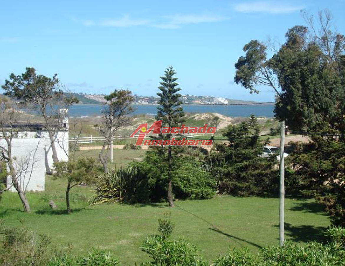 Tio Tom - GoPunta - Portal Inmobiliario de Punta del Este - Maldonado