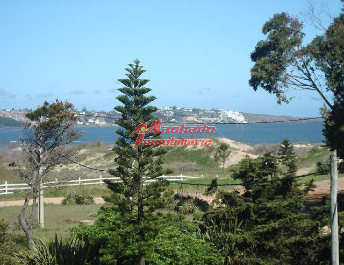 Tio Tom - GoPunta - Portal Inmobiliario de Punta del Este - Maldonado