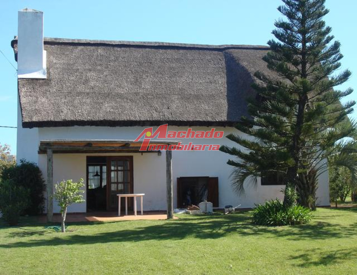 Tio Tom - GoPunta - Portal Inmobiliario de Punta del Este - Maldonado