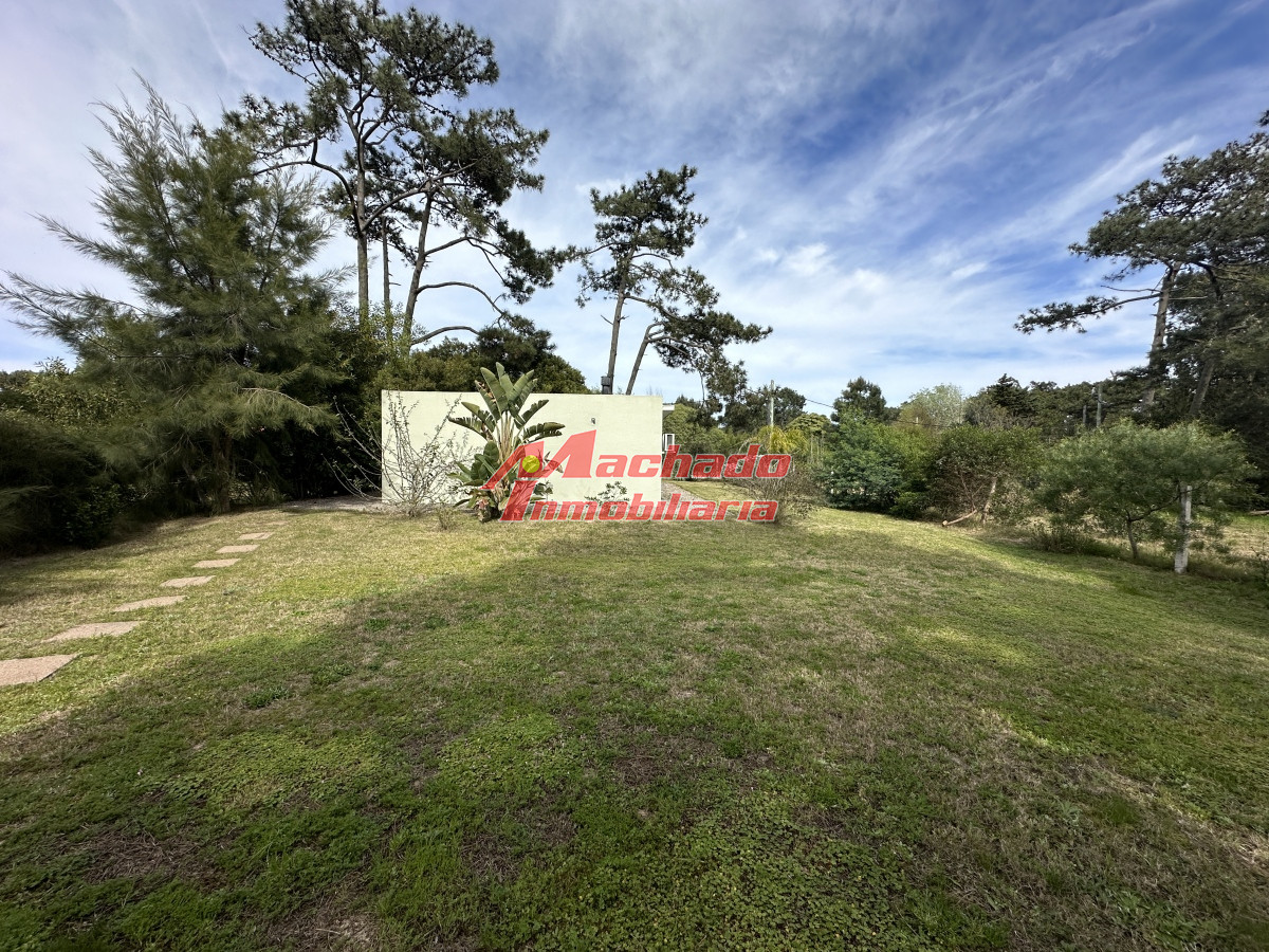 Tio Tom - GoPunta - Portal Inmobiliario de Punta del Este - Maldonado