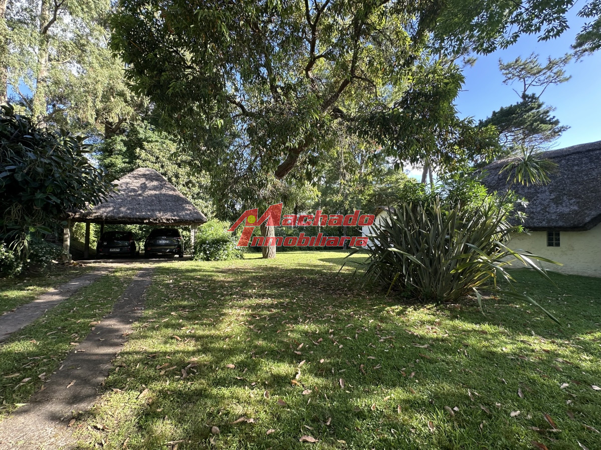 Pinares - GoPunta - Portal Inmobiliario de Punta del Este - Maldonado