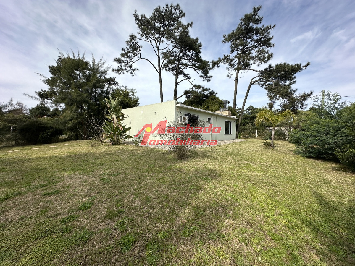 Tio Tom - GoPunta - Portal Inmobiliario de Punta del Este - Maldonado