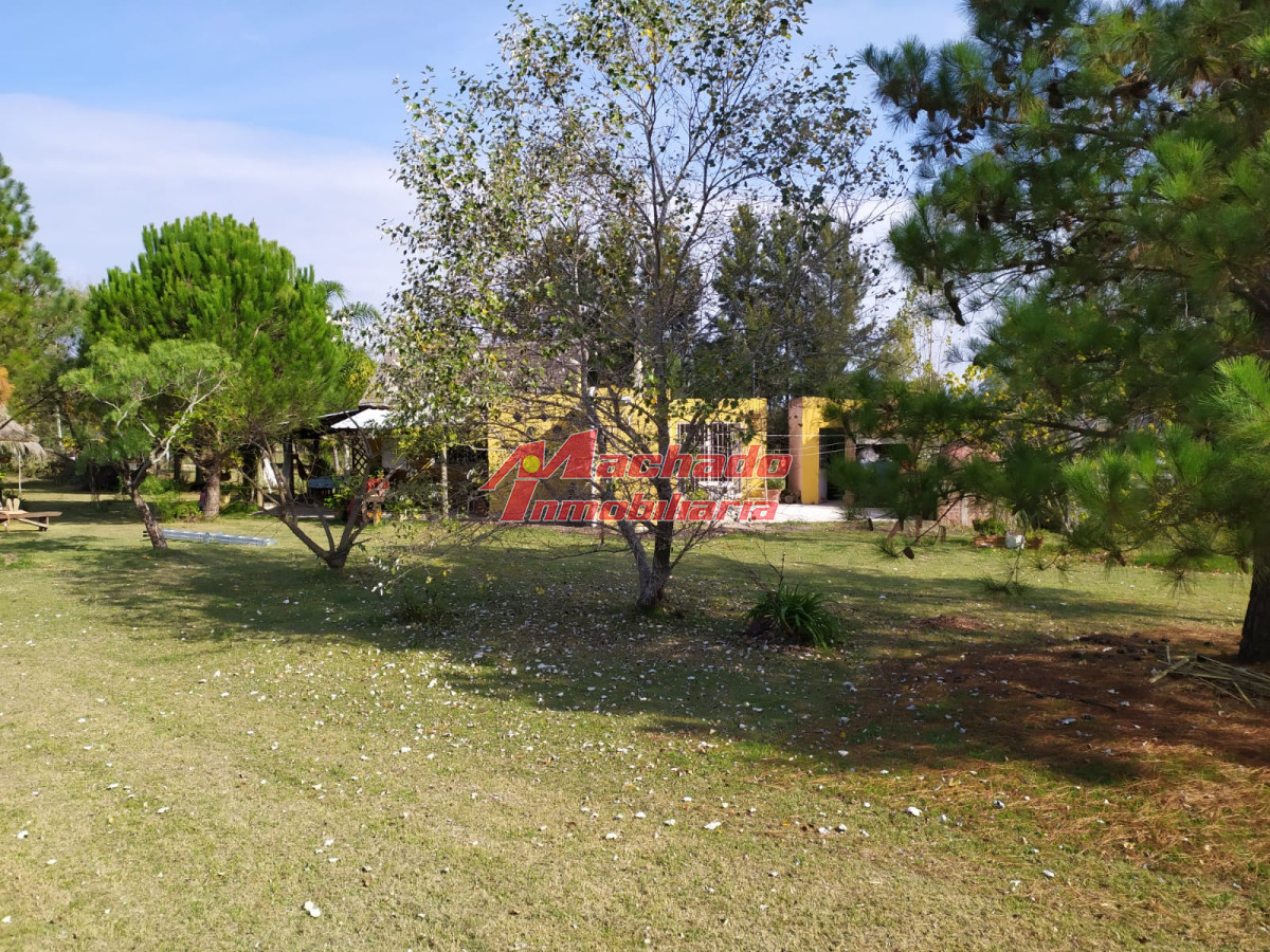 El Pejerrey - GoPunta - Portal Inmobiliario de Punta del Este - Maldonado