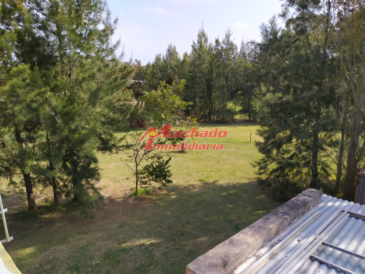 El Pejerrey - GoPunta - Portal Inmobiliario de Punta del Este - Maldonado