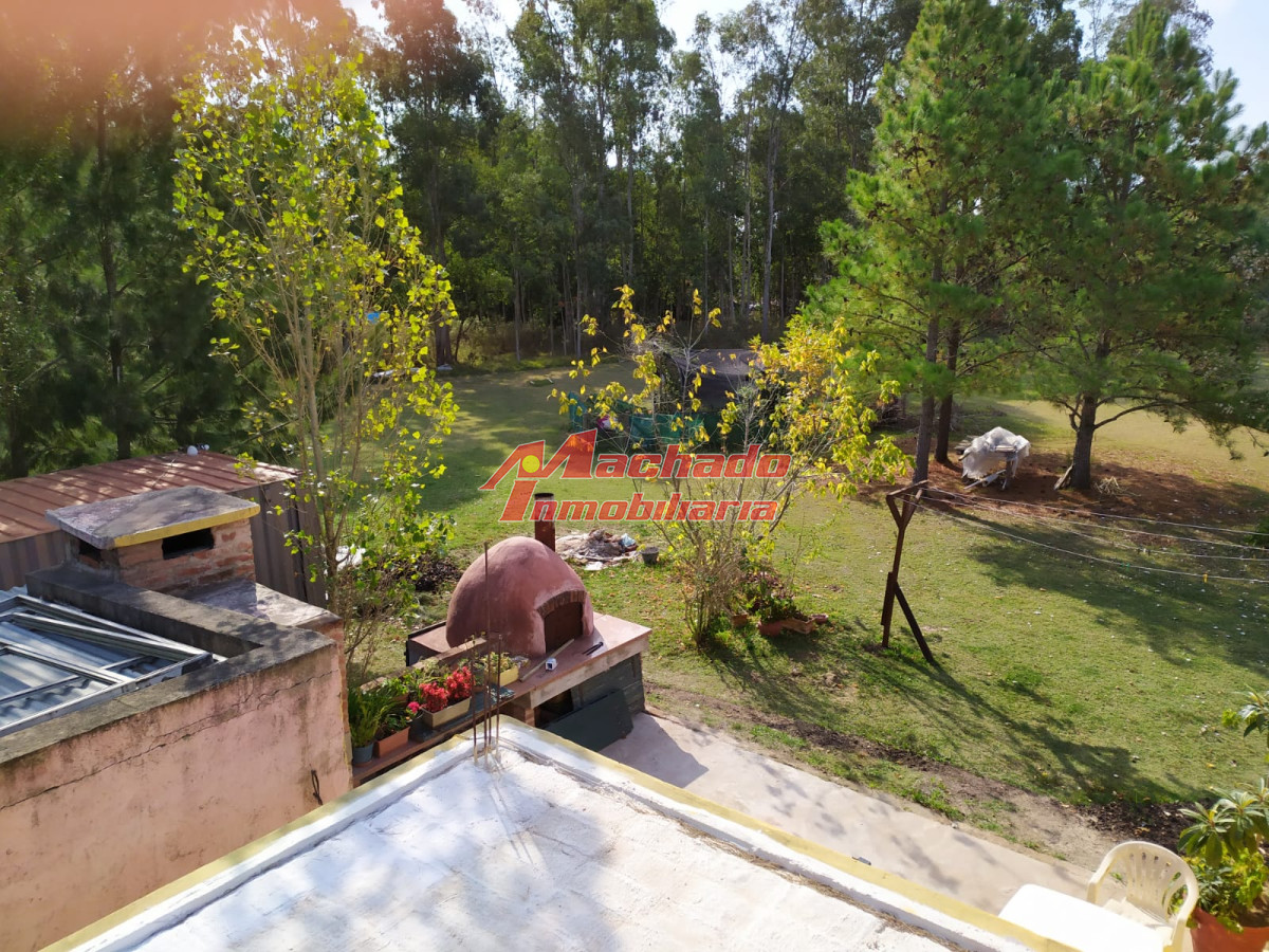 El Pejerrey - GoPunta - Portal Inmobiliario de Punta del Este - Maldonado