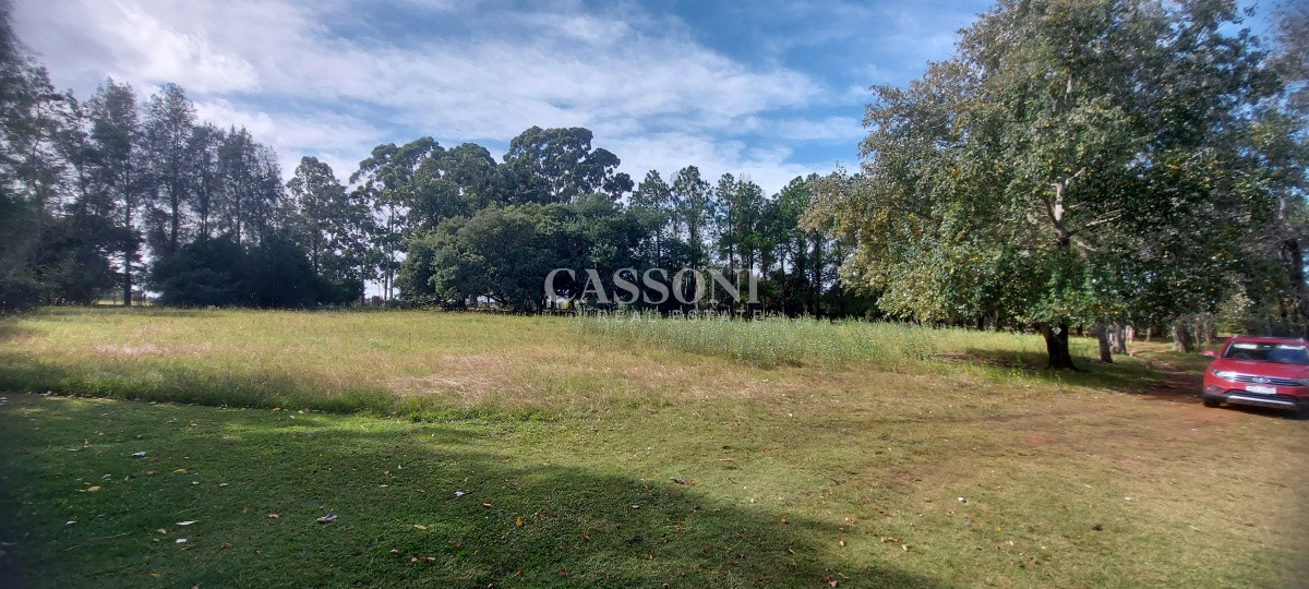 Chacra ID.506 - Venta chacra zona La Pataia, Punta Ballena 