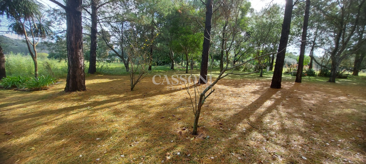 Chacra ID.506 - Venta chacra zona La Pataia, Punta Ballena 
