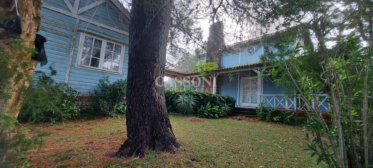 Chacra ID.506 - Venta chacra zona La Pataia, Punta Ballena 