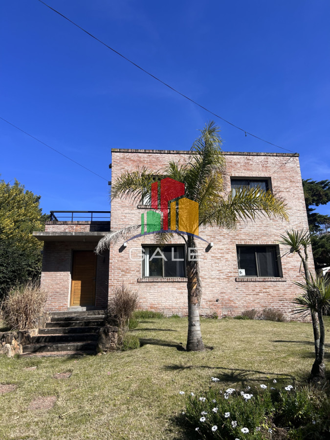 Tio Tom - GoPunta - Portal Inmobiliario de Punta del Este - Maldonado