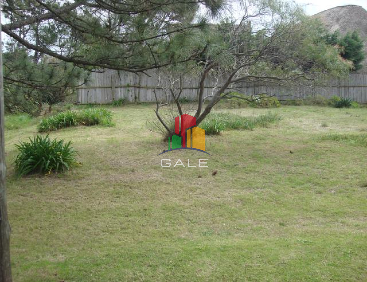 Tio Tom - GoPunta - Portal Inmobiliario de Punta del Este - Maldonado