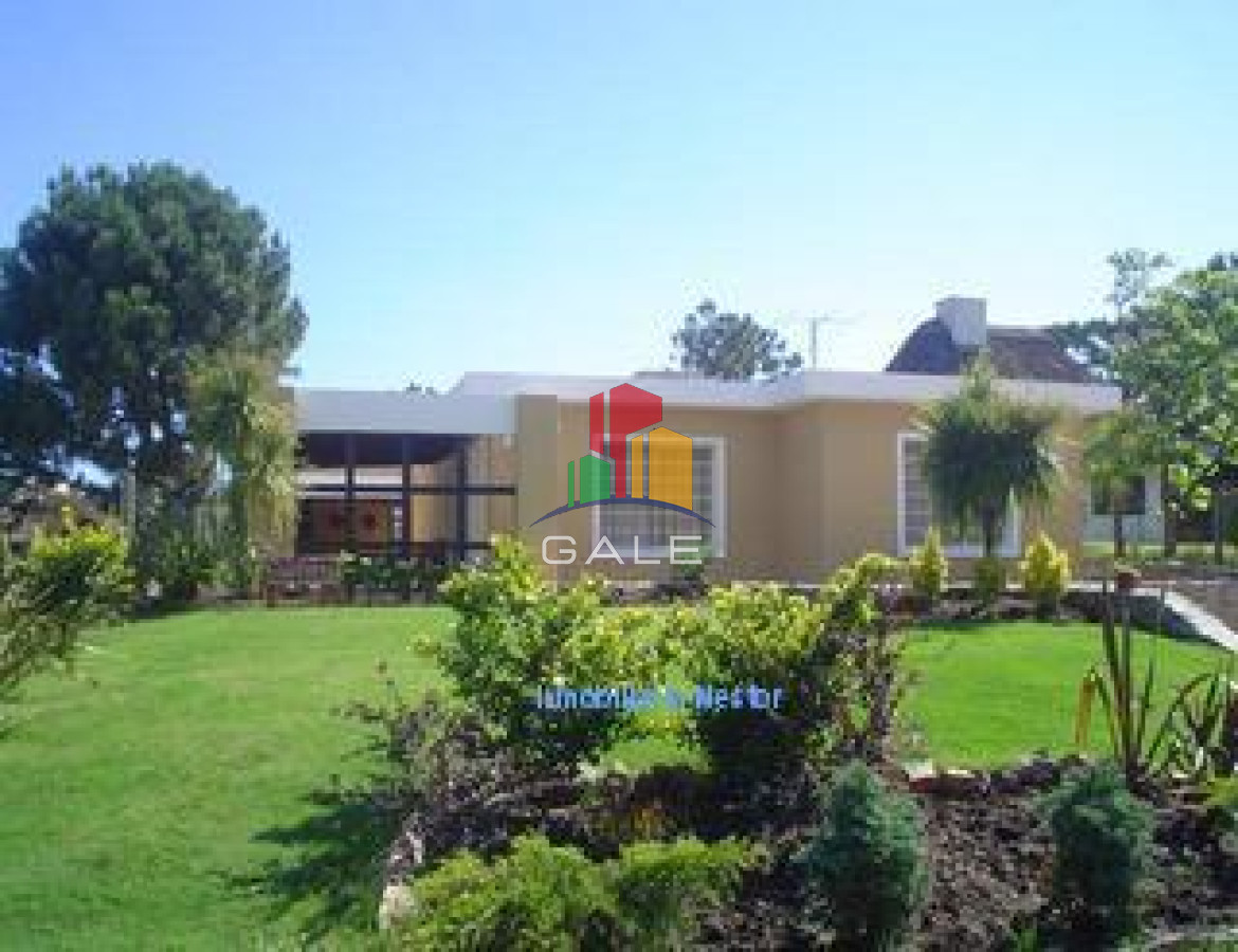 Tio Tom - GoPunta - Portal Inmobiliario de Punta del Este - Maldonado