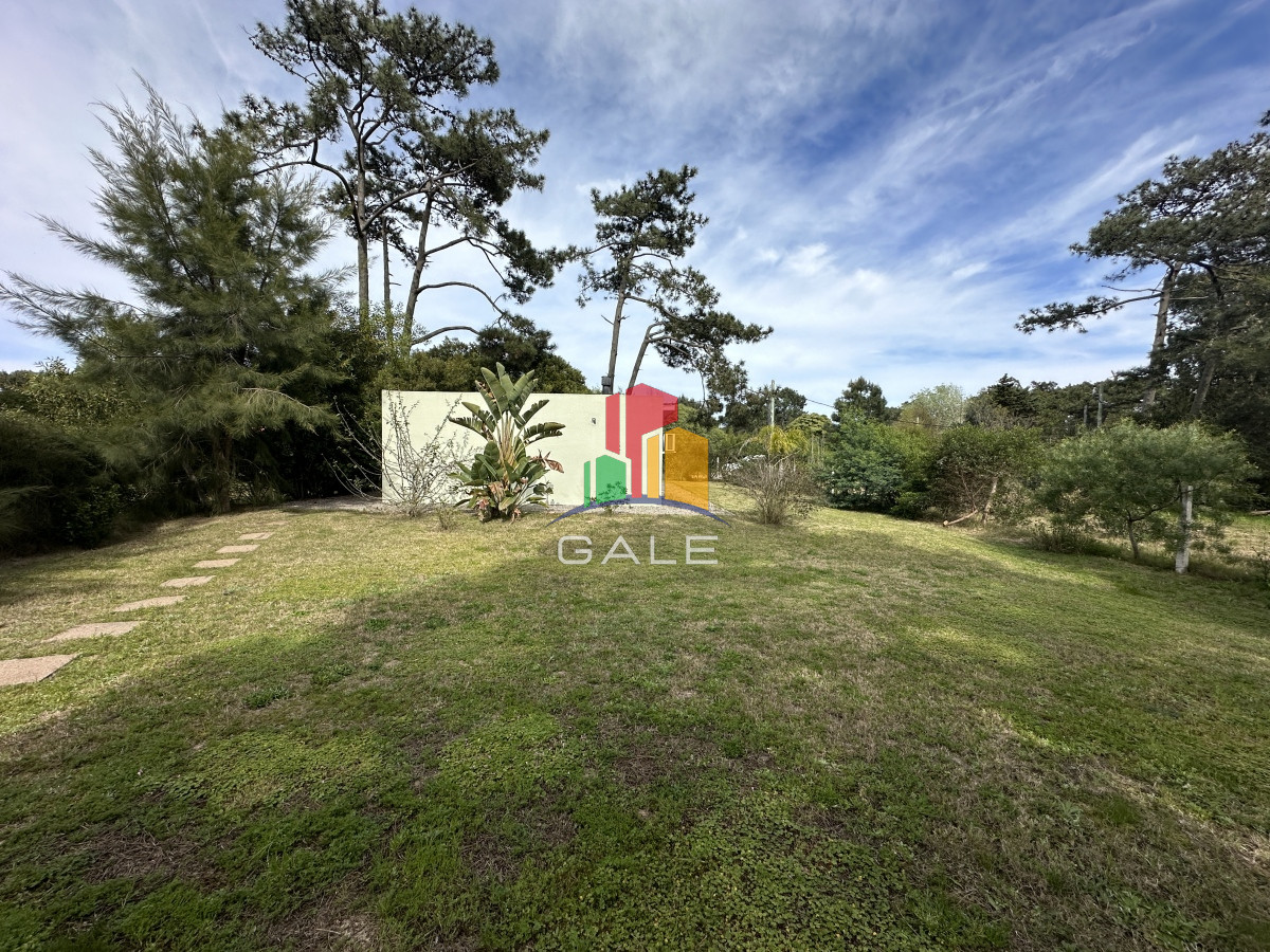 Tio Tom - GoPunta - Portal Inmobiliario de Punta del Este - Maldonado