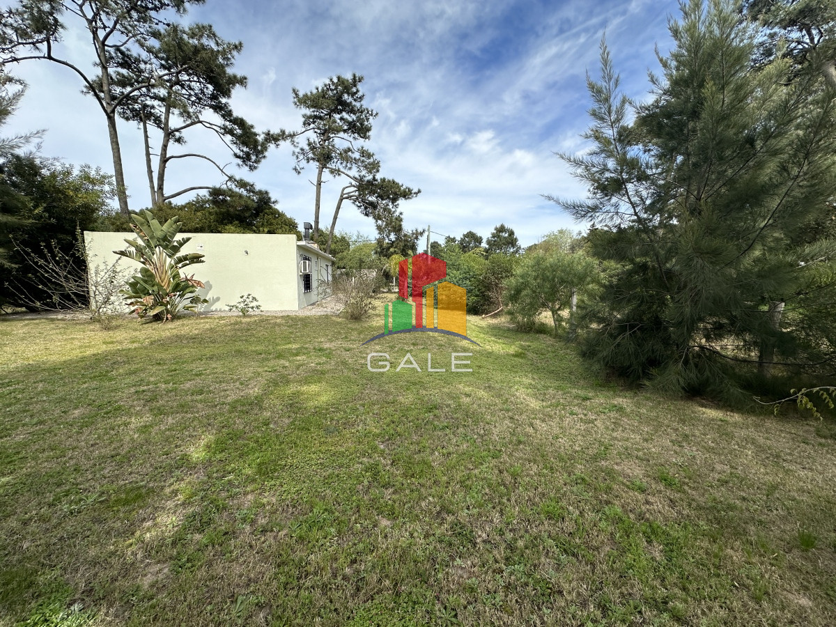 Tio Tom - GoPunta - Portal Inmobiliario de Punta del Este - Maldonado