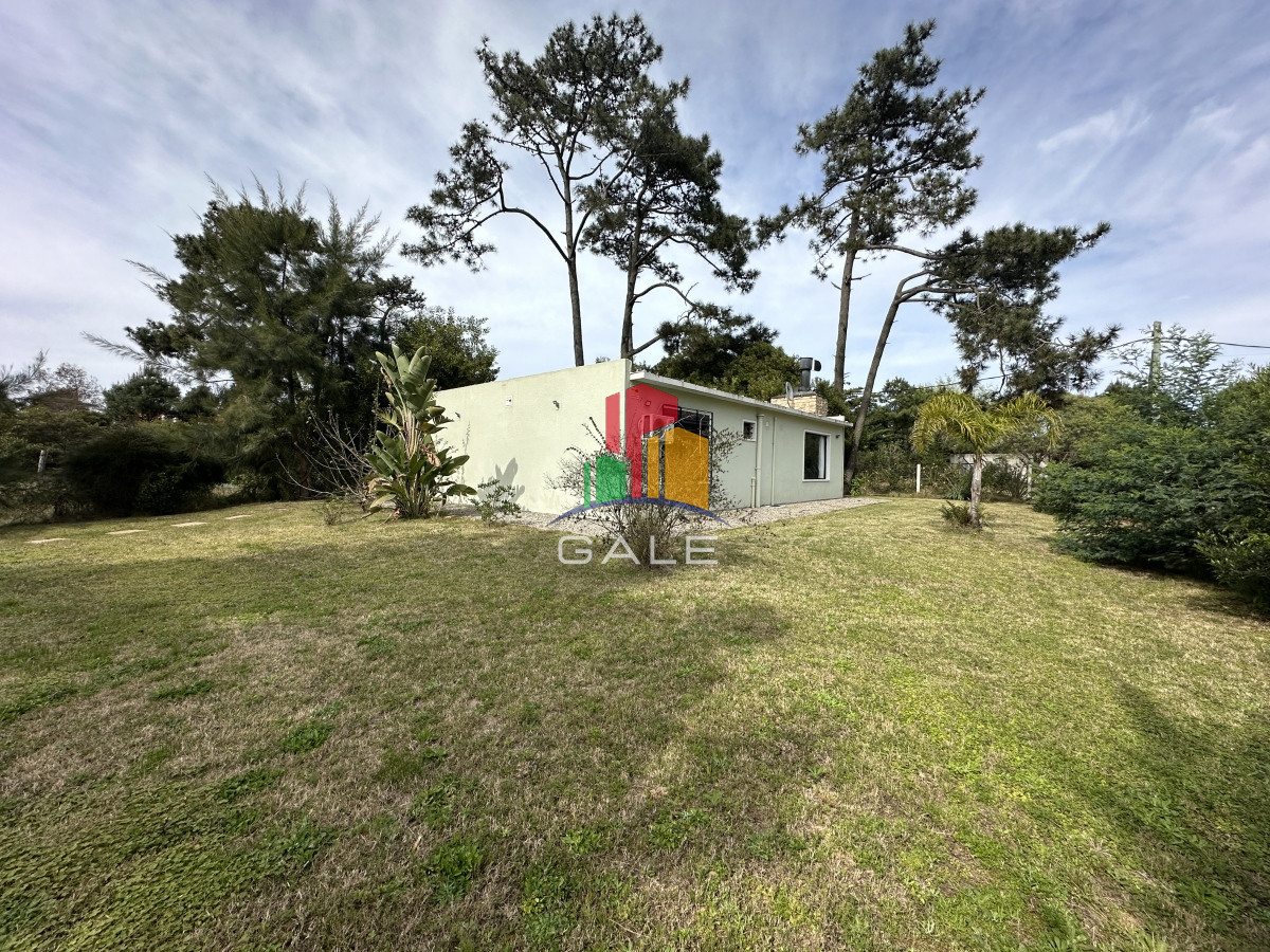 Tio Tom - GoPunta - Portal Inmobiliario de Punta del Este - Maldonado