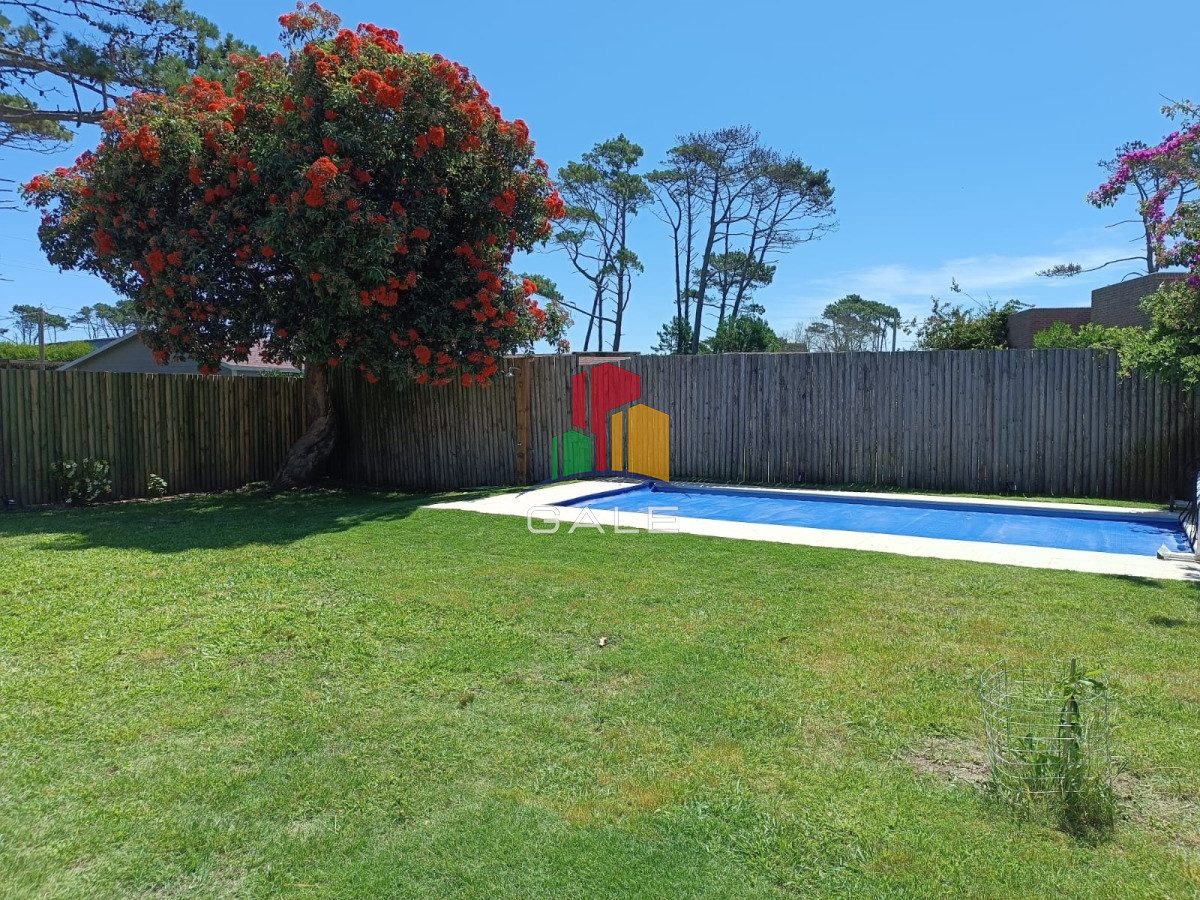 Tio Tom - GoPunta - Portal Inmobiliario de Punta del Este - Maldonado