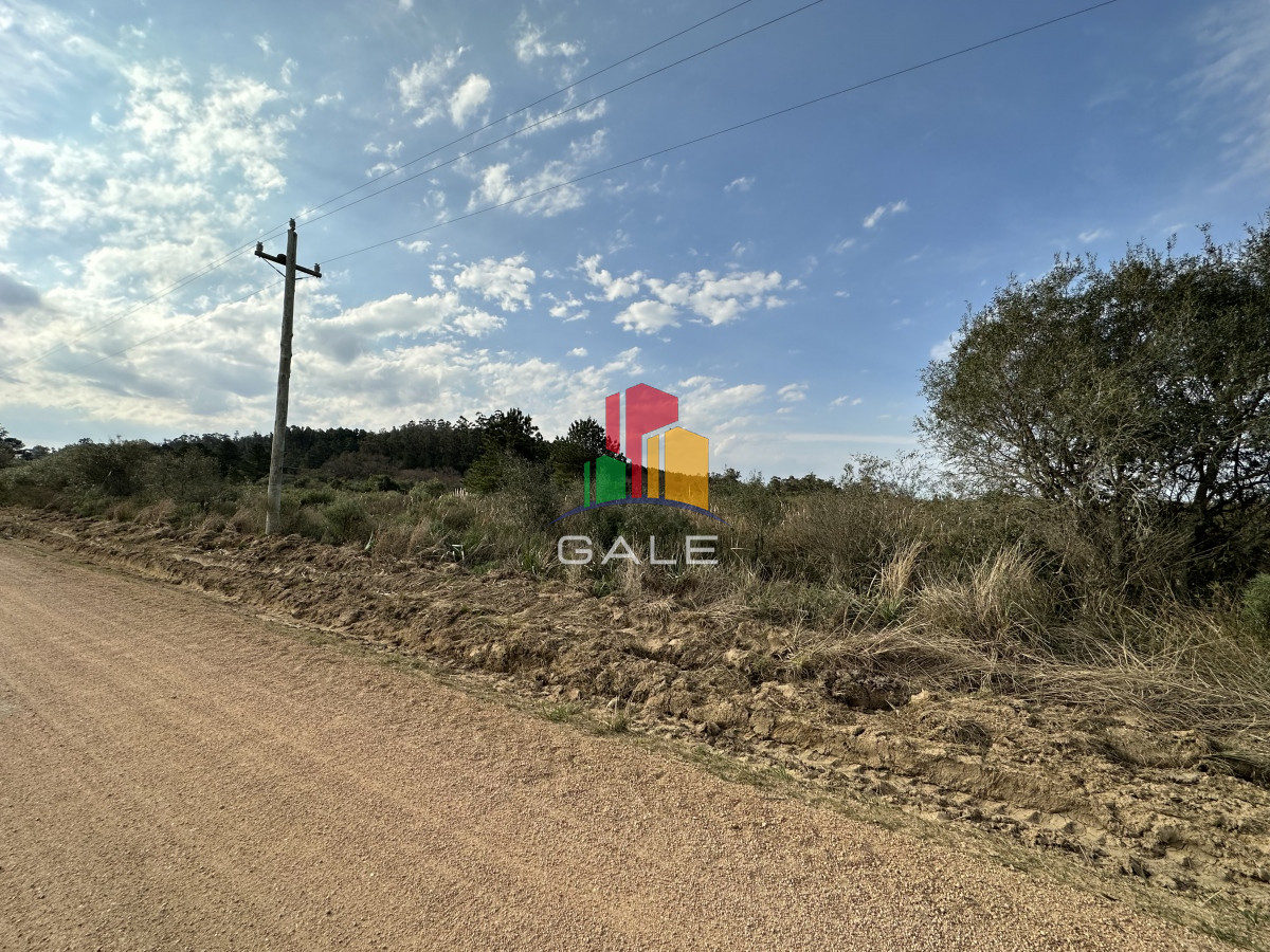 Venta chacra Maldonado - GoPunta - Portal Inmobiliario de Punta del Este - Maldonado
