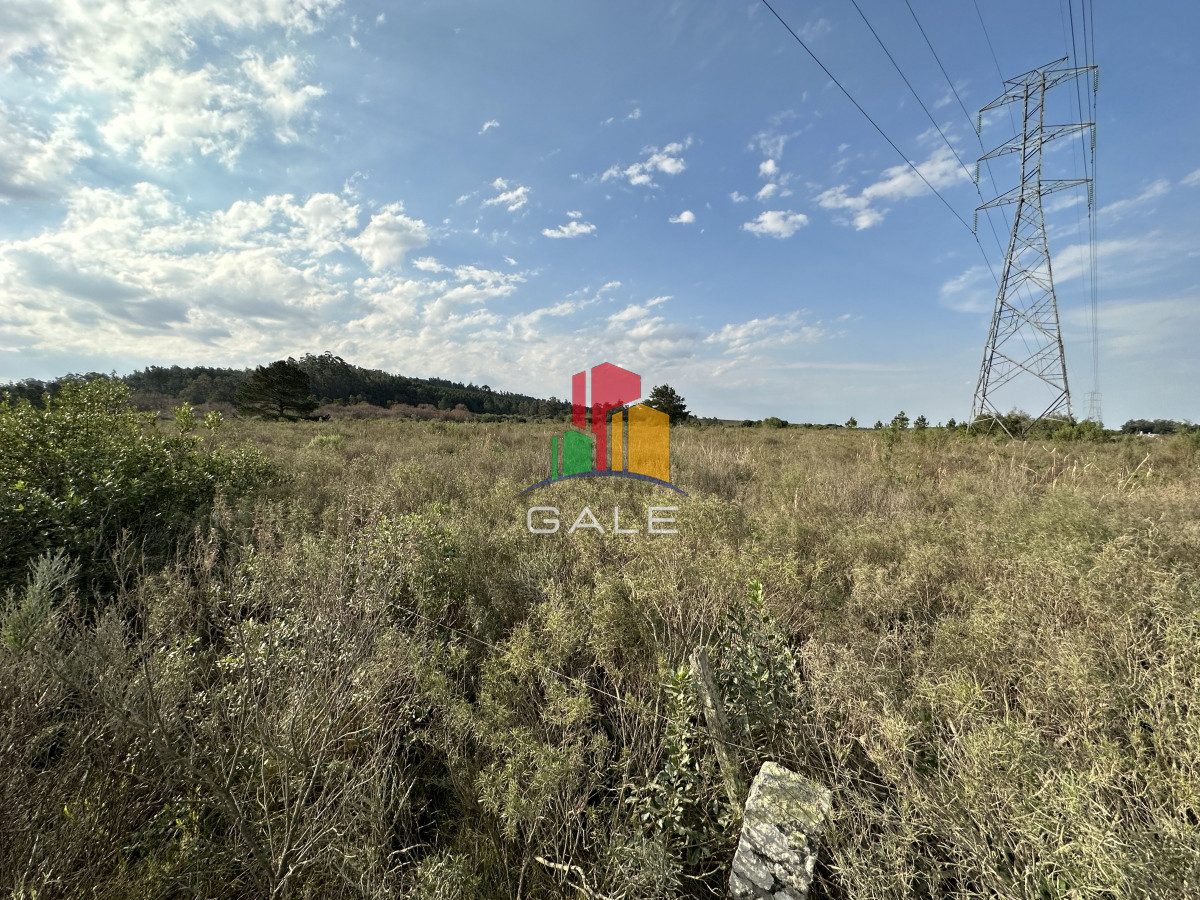 Venta chacra Maldonado - GoPunta - Portal Inmobiliario de Punta del Este - Maldonado