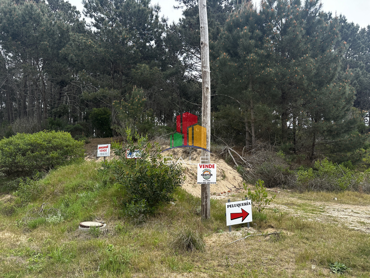 Terreno ID.4422 - Lote chihuahua