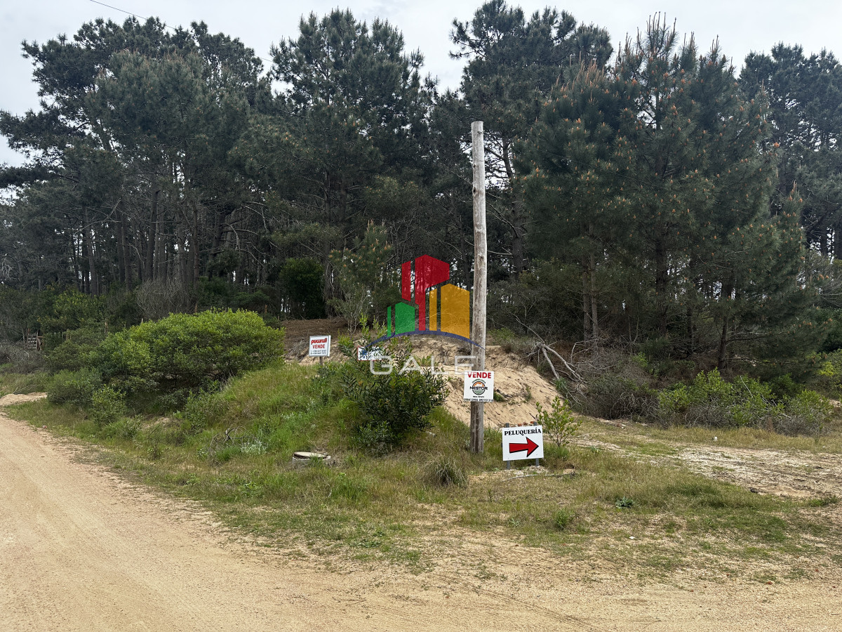 Terreno ID.4422 - Lote chihuahua