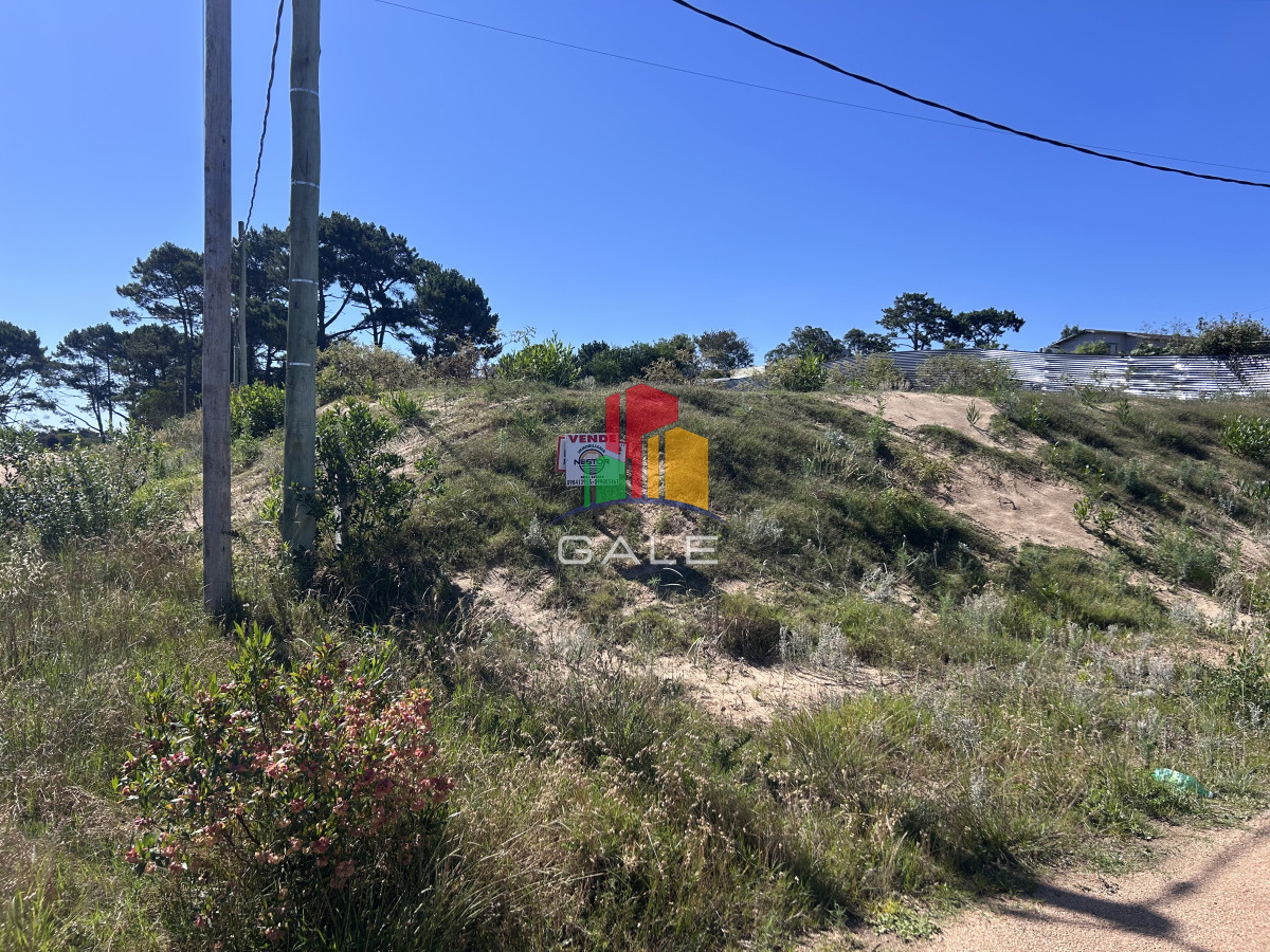 Club del Lago - GoPunta - Portal Inmobiliario de Punta del Este - Maldonado