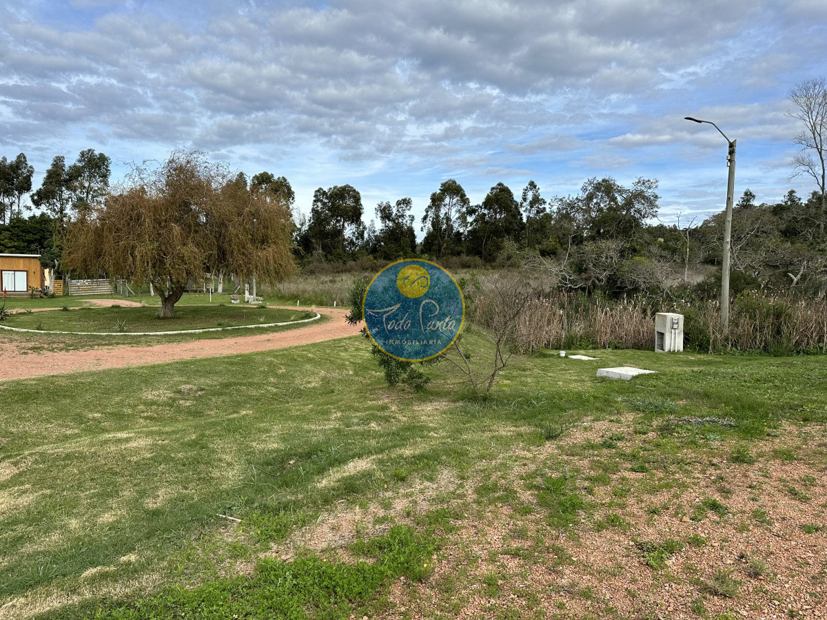 Miniatura de Casa de 3 dormitorios en Punta Ballena, Punta del Este | Todo Punta