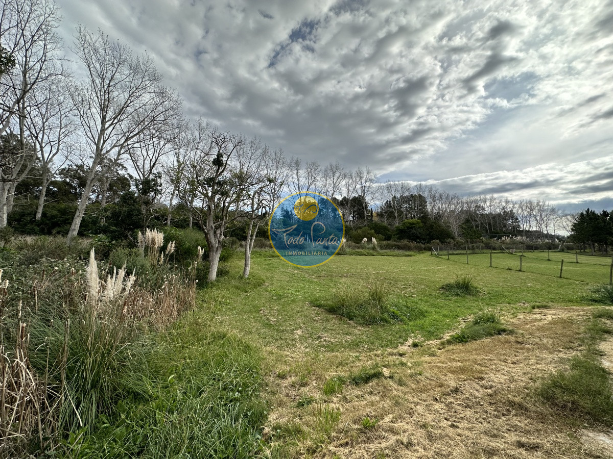 Miniatura de Casa de 3 dormitorios en Punta Ballena, Punta del Este | Todo Punta