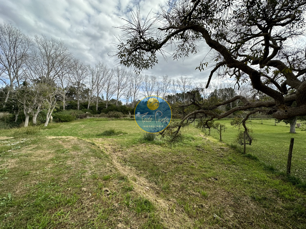 Miniatura de Casa de 3 dormitorios en Punta Ballena, Punta del Este | Todo Punta