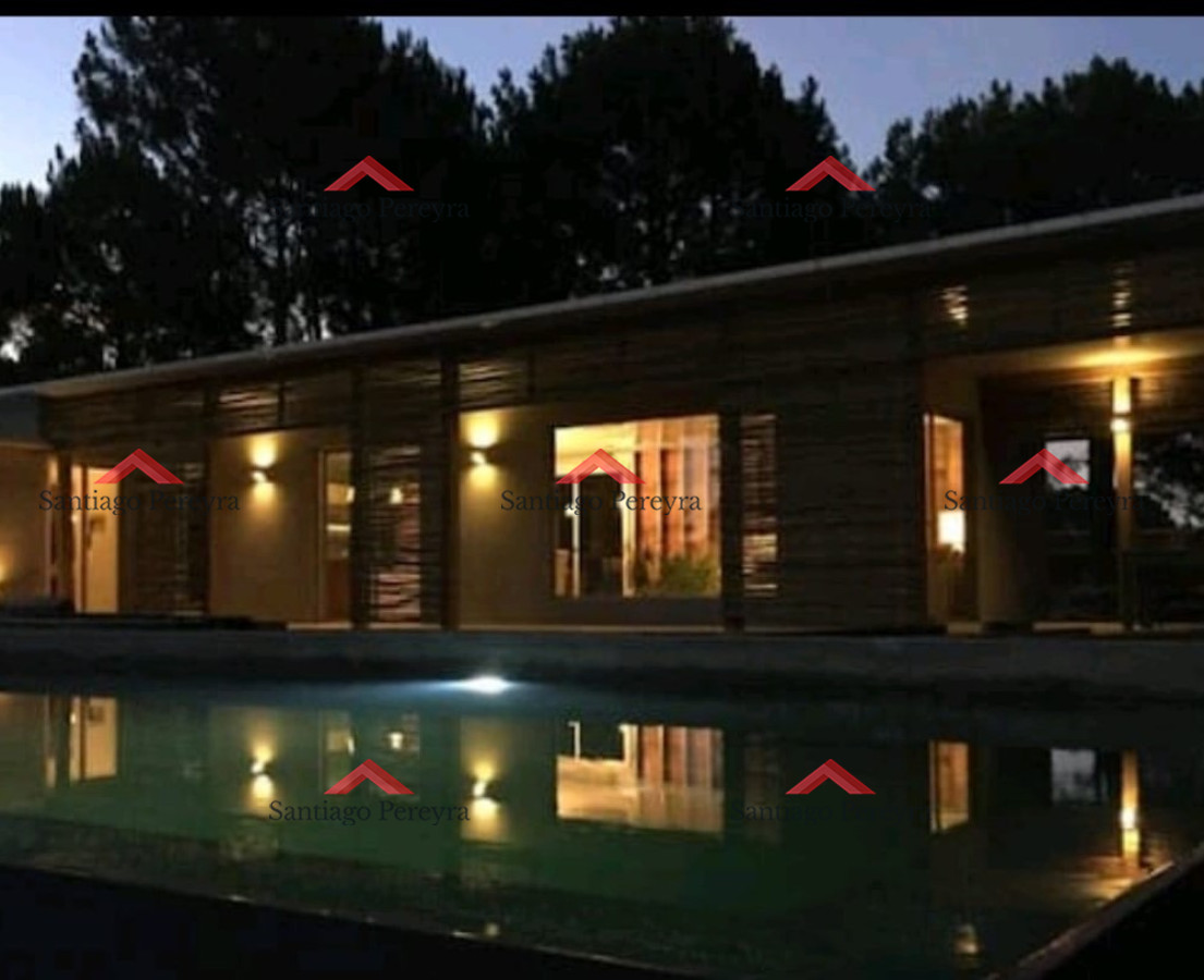 Chihuahua - GoPunta - Portal Inmobiliario de Punta del Este - Maldonado