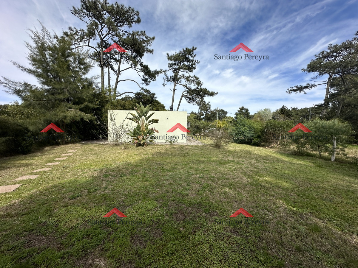 Tio Tom - GoPunta - Portal Inmobiliario de Punta del Este - Maldonado