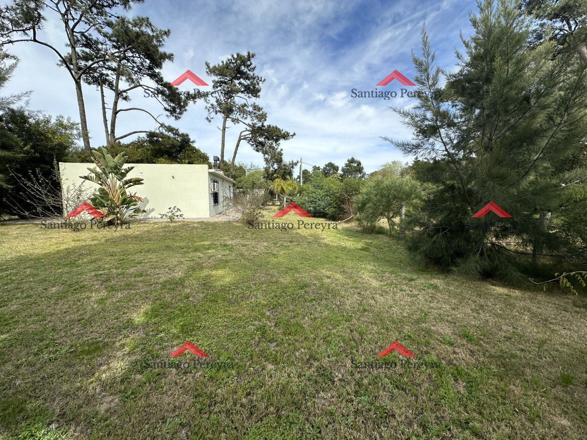 Tio Tom - GoPunta - Portal Inmobiliario de Punta del Este - Maldonado