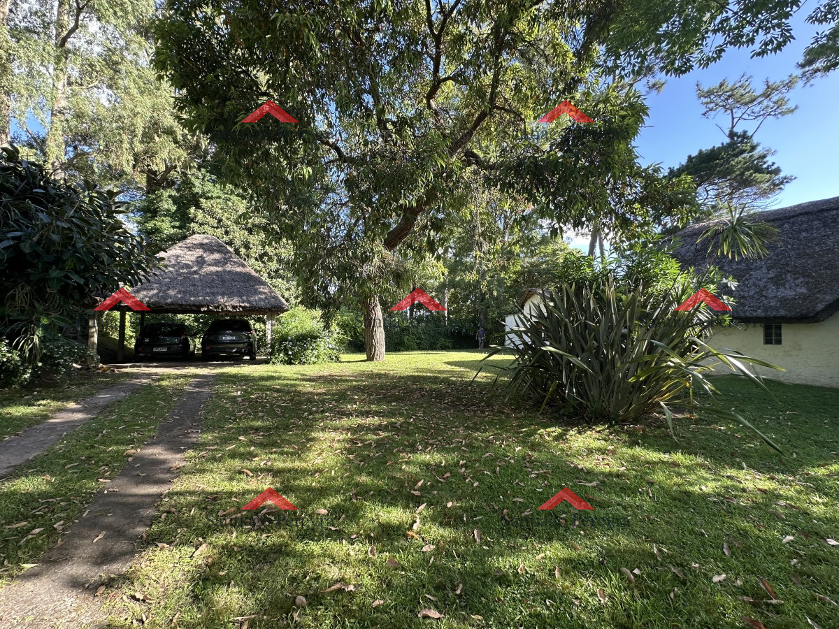 Pinares - GoPunta - Portal Inmobiliario de Punta del Este - Maldonado