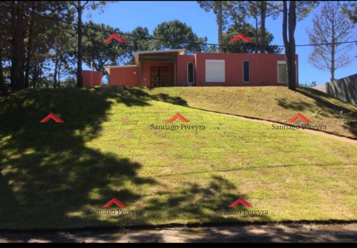 Chihuahua - GoPunta - Portal Inmobiliario de Punta del Este - Maldonado