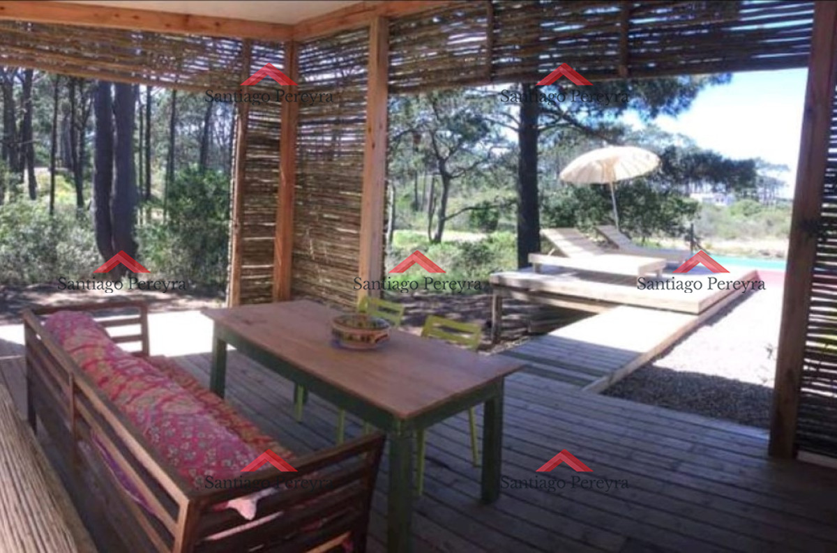 Chihuahua - GoPunta - Portal Inmobiliario de Punta del Este - Maldonado