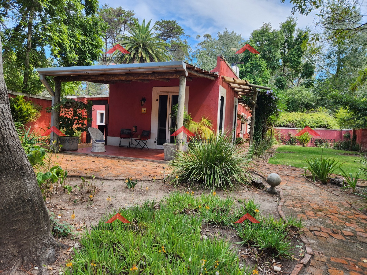Chacra ID.17050 - Venta chacra tipo quinta, Punta Ballena 