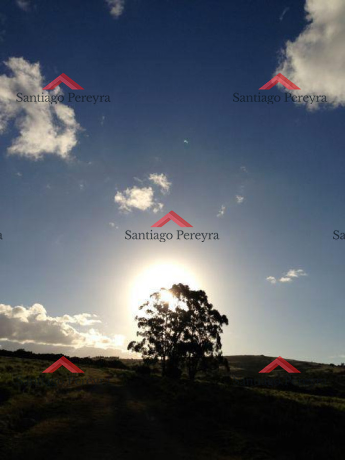 Chacra ID.8337 - Venta chacra Sierra de los Caracoles 