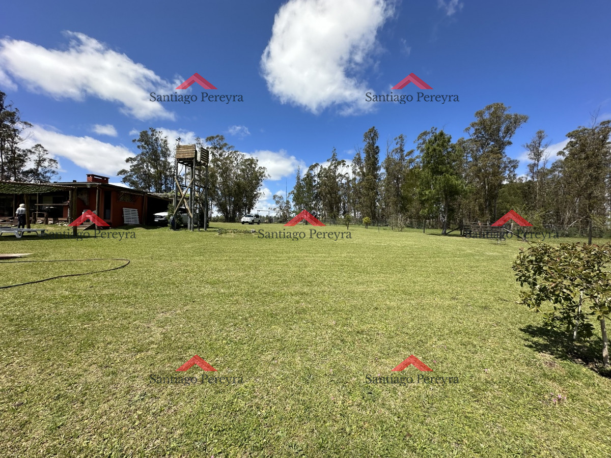 Venta chacra Maldonado Uruguay - GoPunta - Portal Inmobiliario de Punta del Este - Maldonado