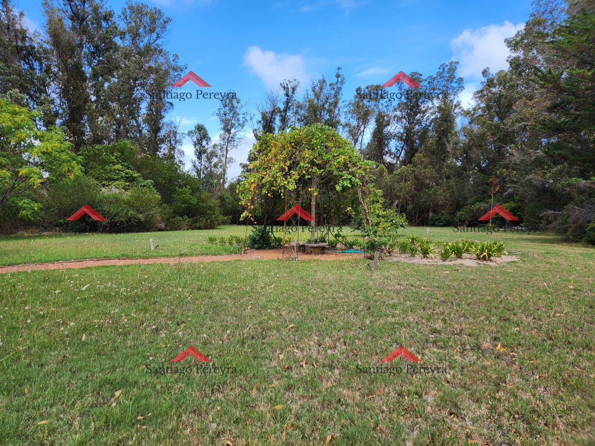 Chacra ID.17050 - Venta chacra tipo quinta, Punta Ballena 