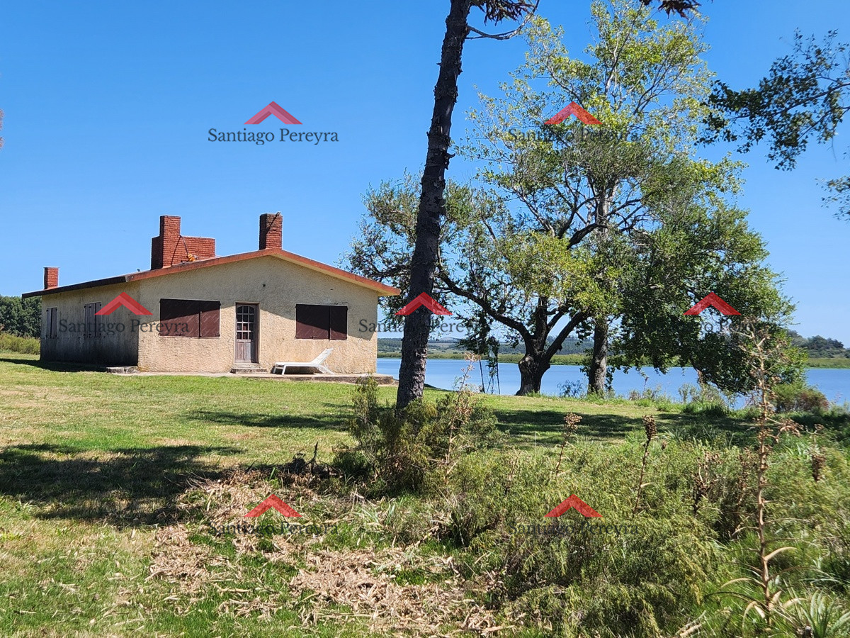 Laguna del Sauce - GoPunta - Portal Inmobiliario de Punta del Este - Maldonado