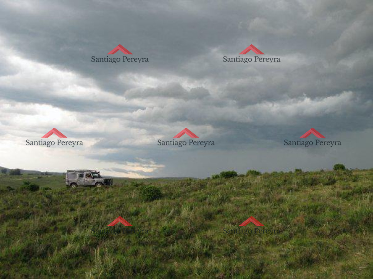 Chacra ID.8337 - Venta chacra Sierra de los Caracoles 