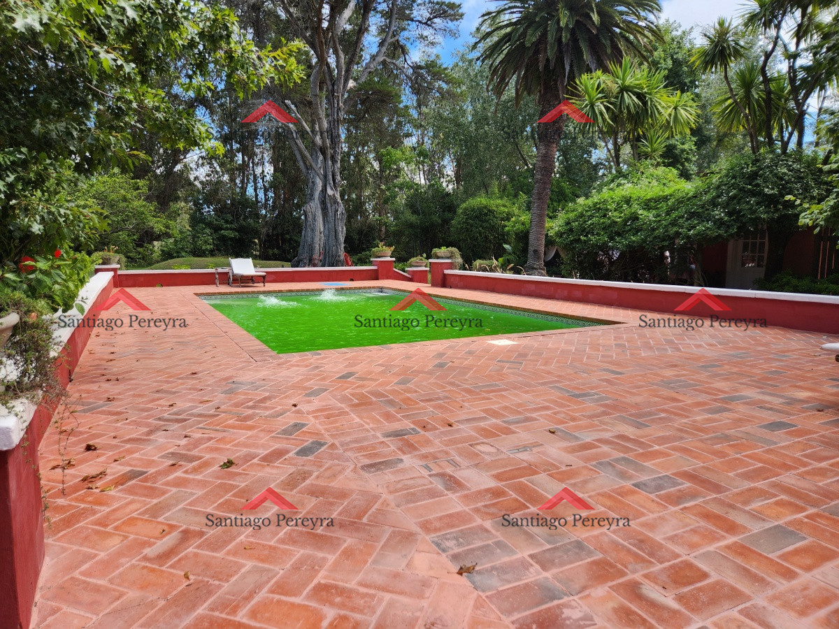 Chacra ID.17050 - Venta chacra tipo quinta, Punta Ballena 